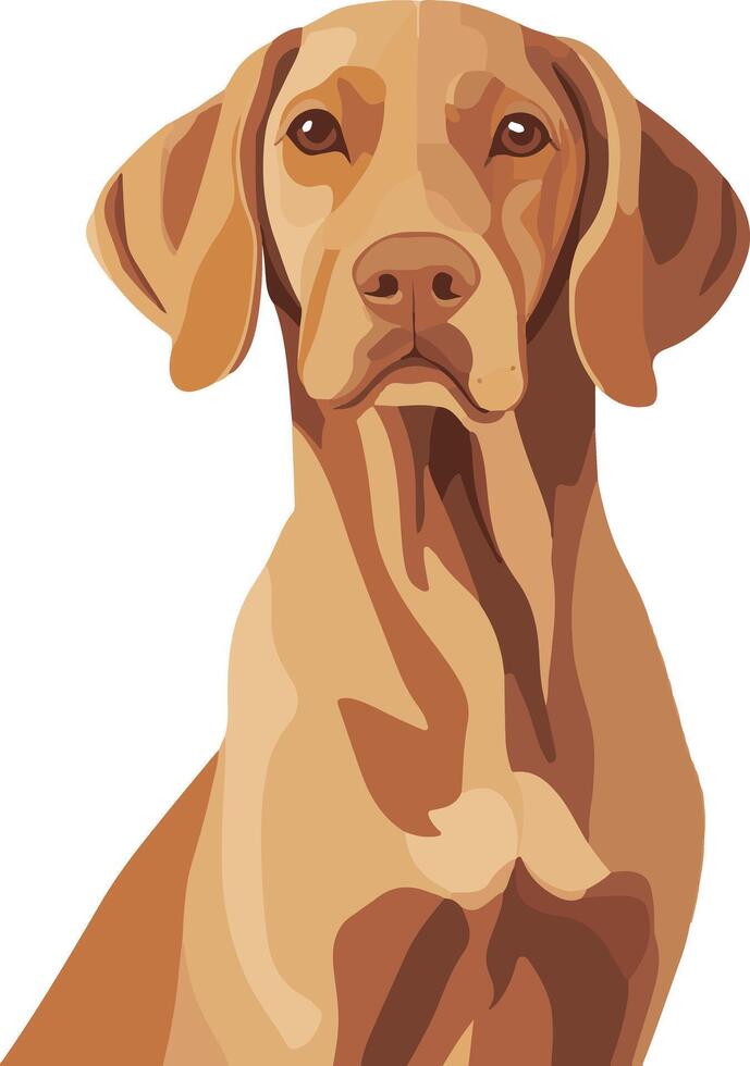 cute simple Vizsla clipart vector
