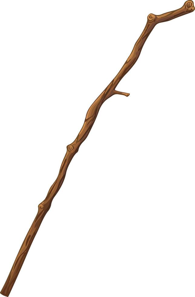 cute simple walkingstick clipart vector