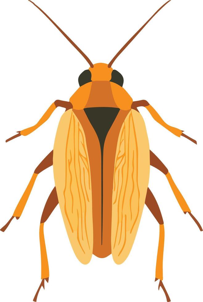 adorable cute simple waterbug clipart vector