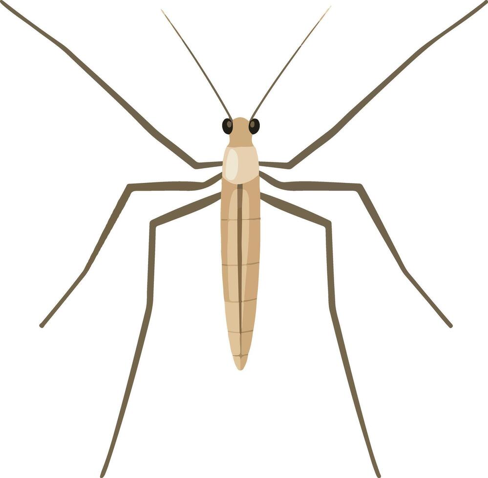 cute simple water strider clipart vector