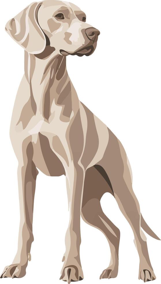 cute simple Weimaraner clipart vector