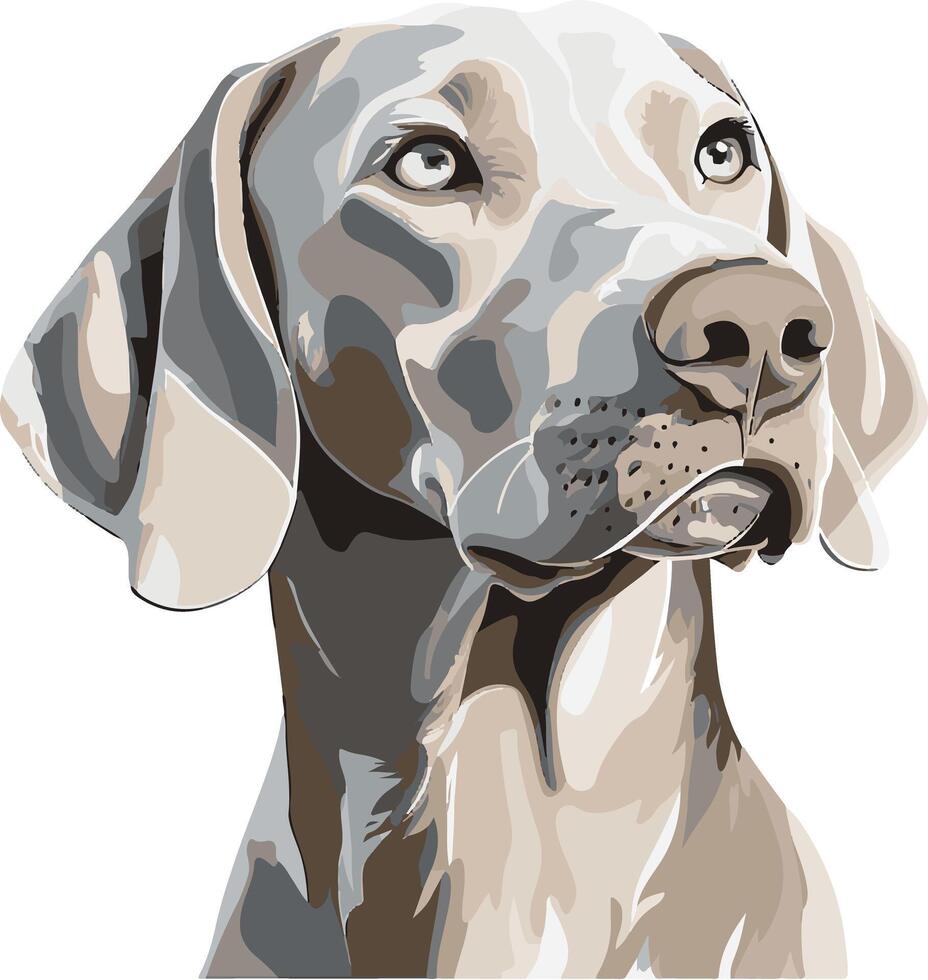 adorable cute simple Weimaraner clipart vector
