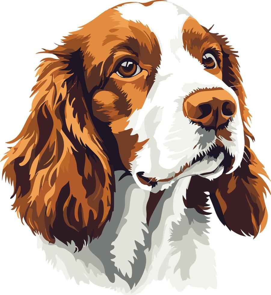 cute simple Welsh Springer Spaniel clipart vector