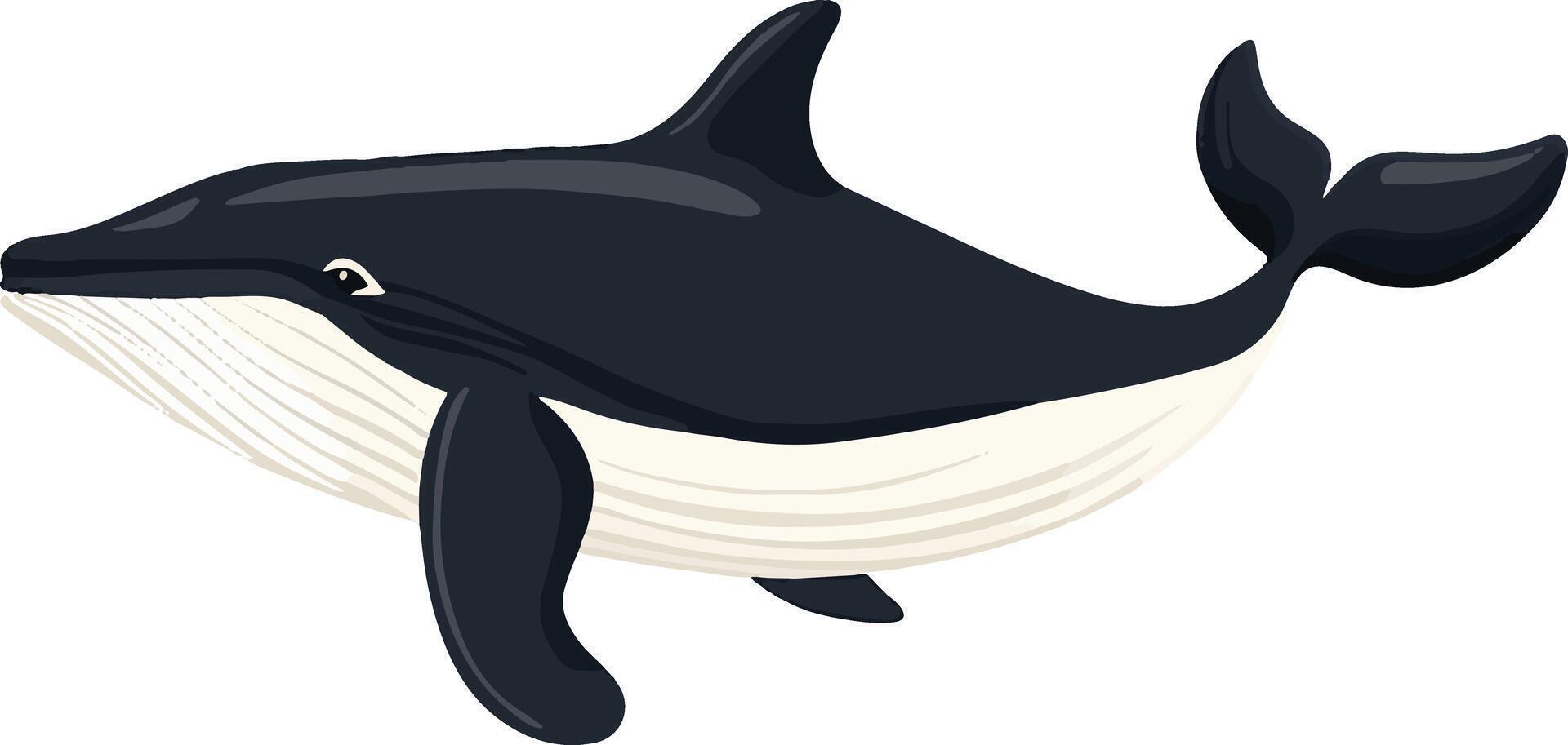 lovely cute simple whale clipart vector