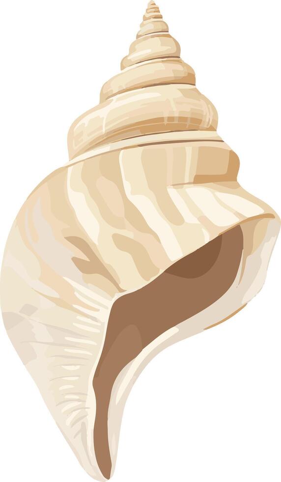adorable cute simple whelk clipart vector