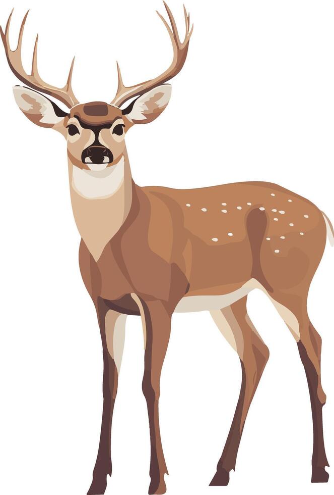 adorable cute simple white tailed deer clipart vector