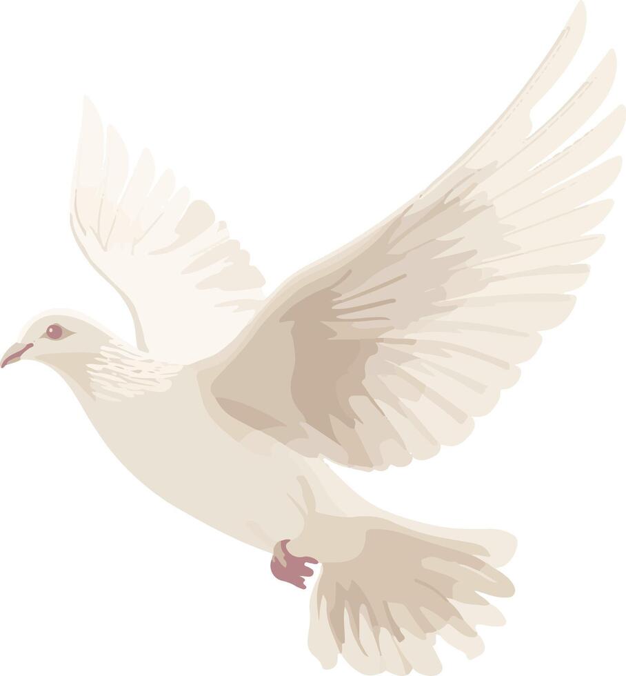 cute simple white dove clipart vector