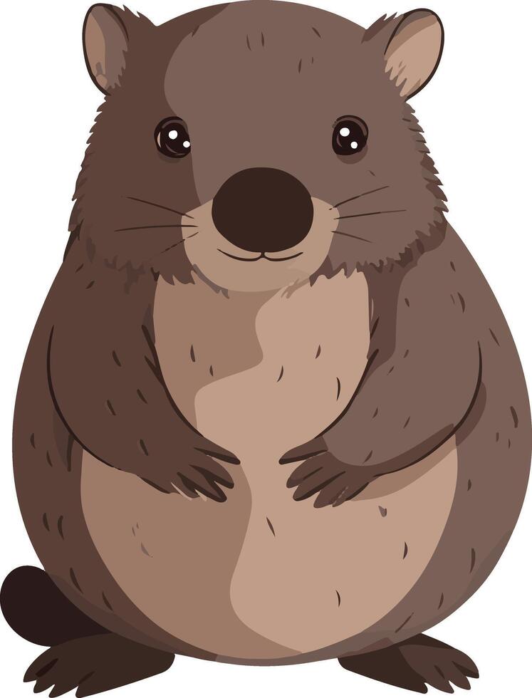 cute simple wombat clipart vector