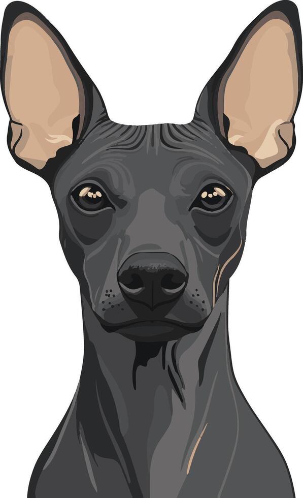 cute simple Xoloitzcuintli Mexican Hairless Dog clipart vector