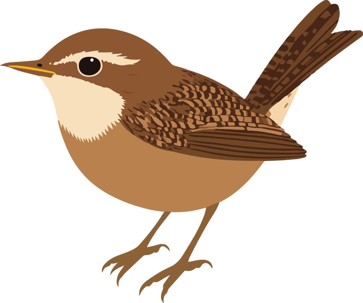cute simple wren clipart vector
