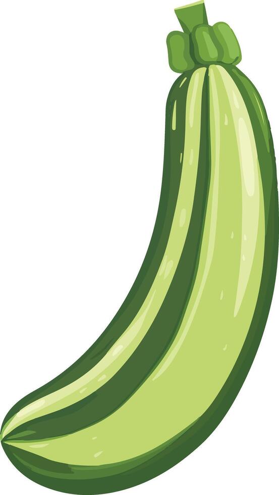 cute simple zucchini clipart vector