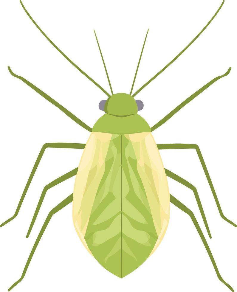 cute simple aphid clipart vector