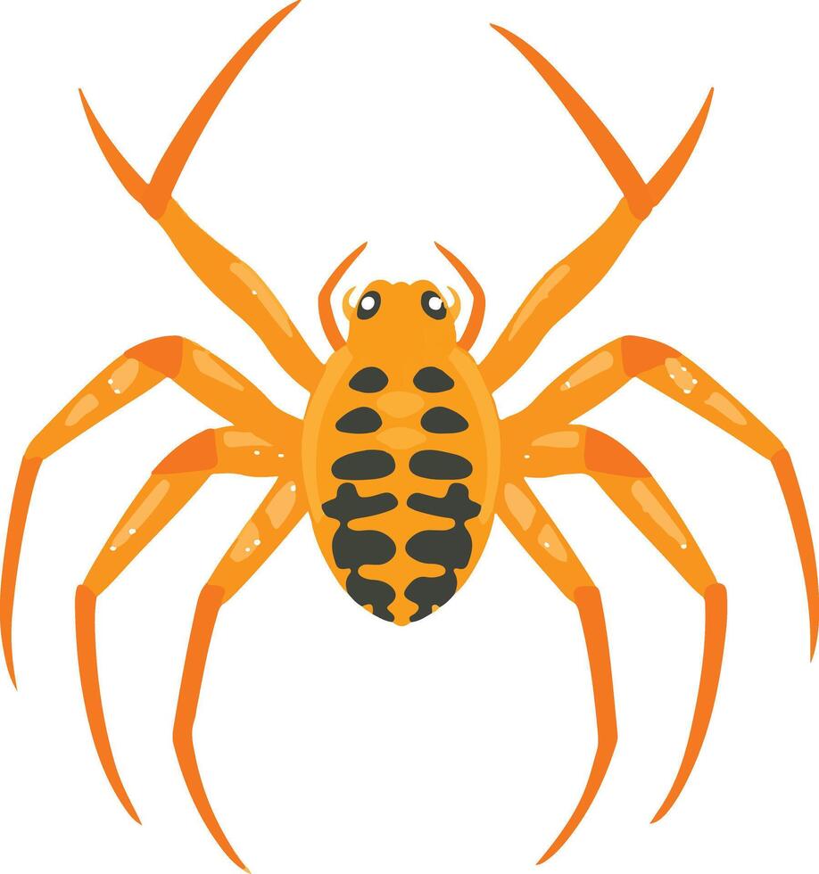 cute simple arachnid clipart vector