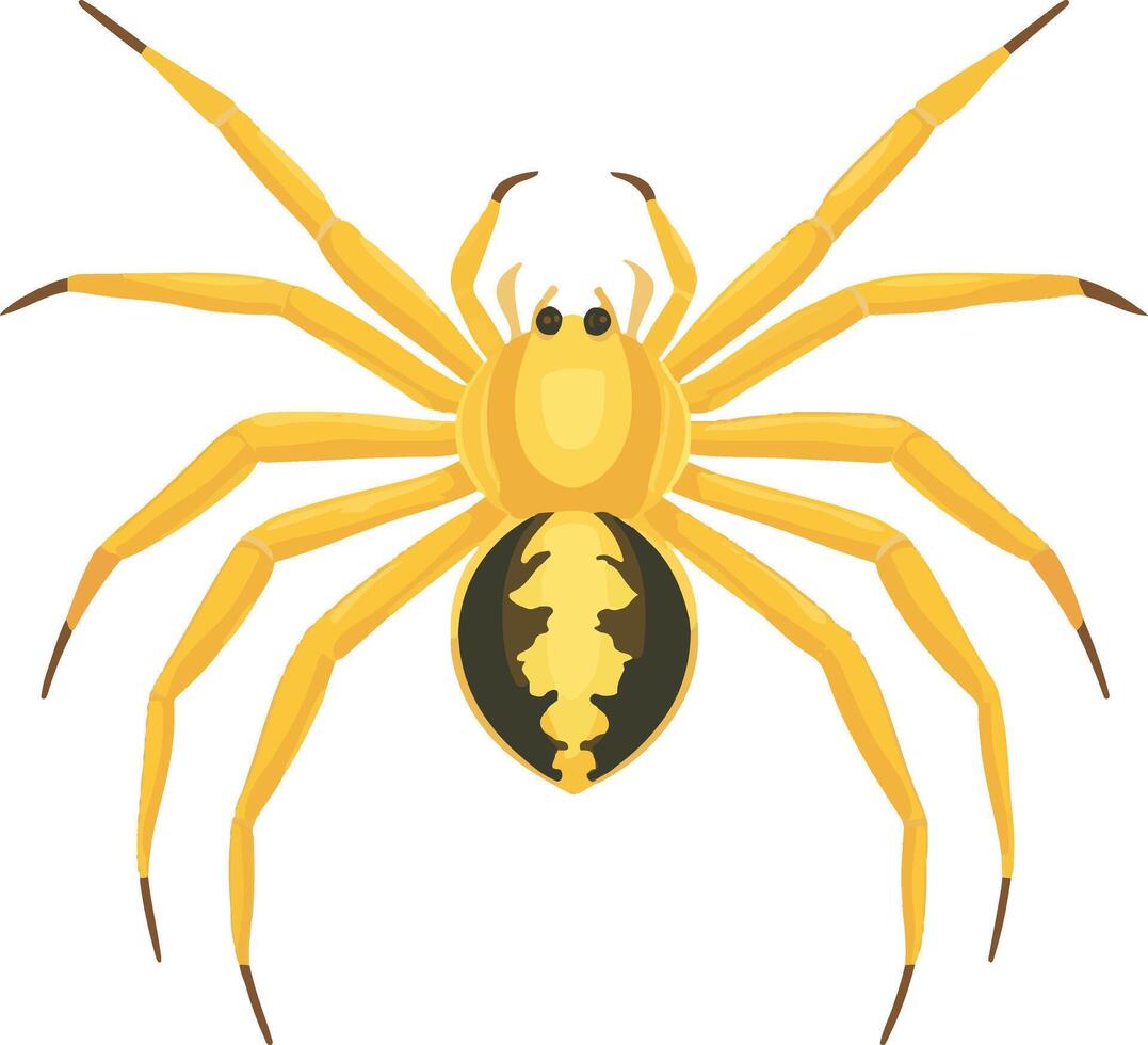 adorable cute simple arachnid clipart vector