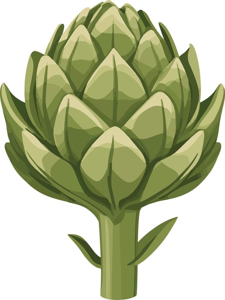 cute simple artichoke clipart vector