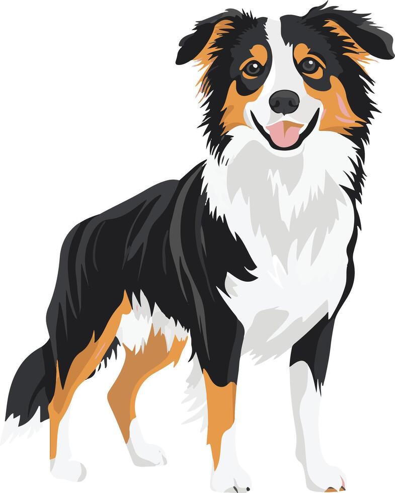 cute simple Australian Shepherd clipart vector