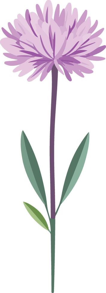cute simple bachelor button clipart vector