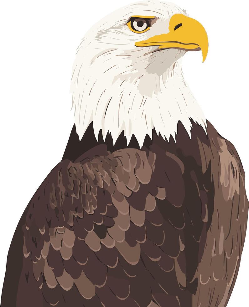 cute simple bald eagle clipart vector