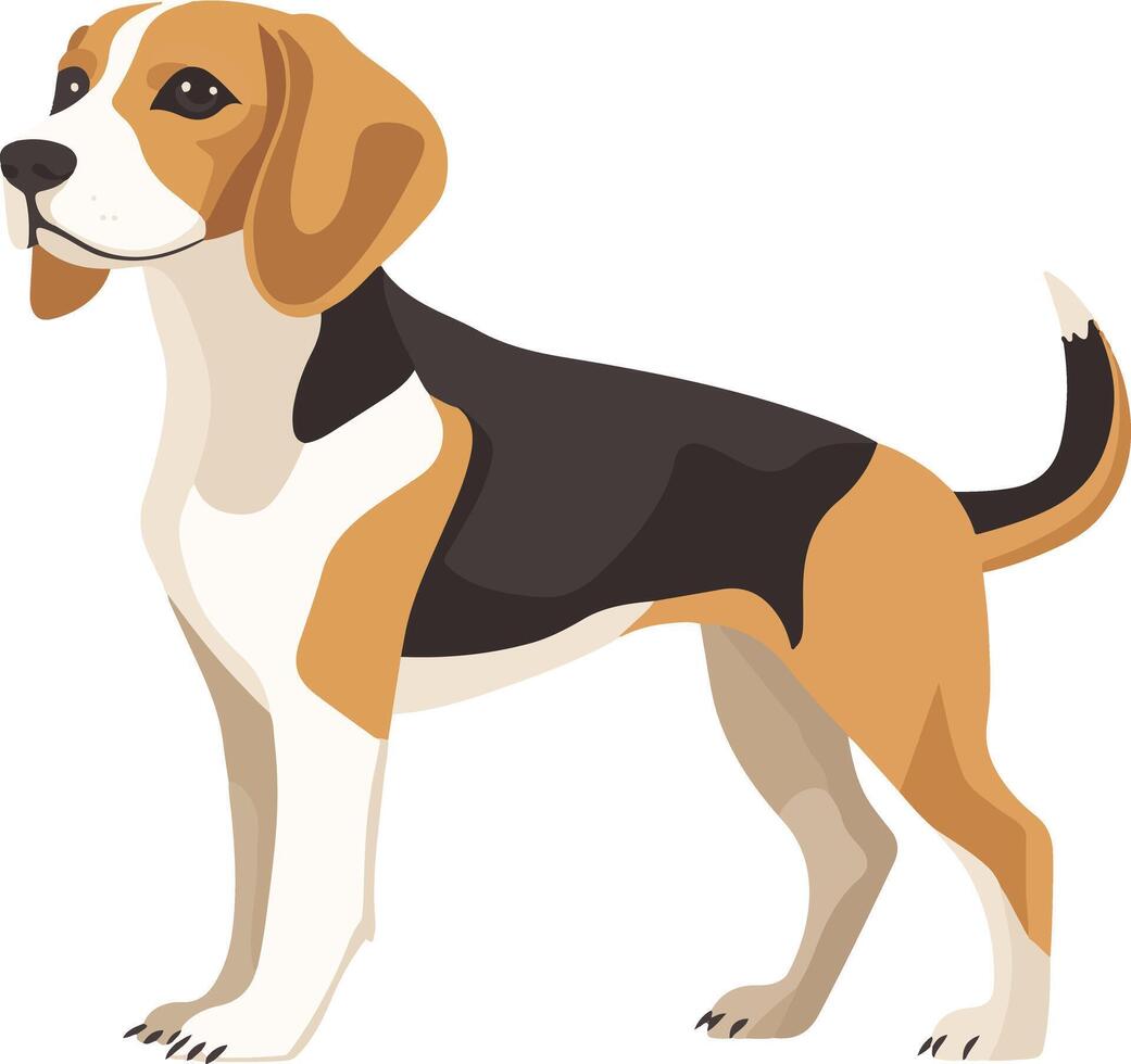 adorable cute simple Beagle clipart vector