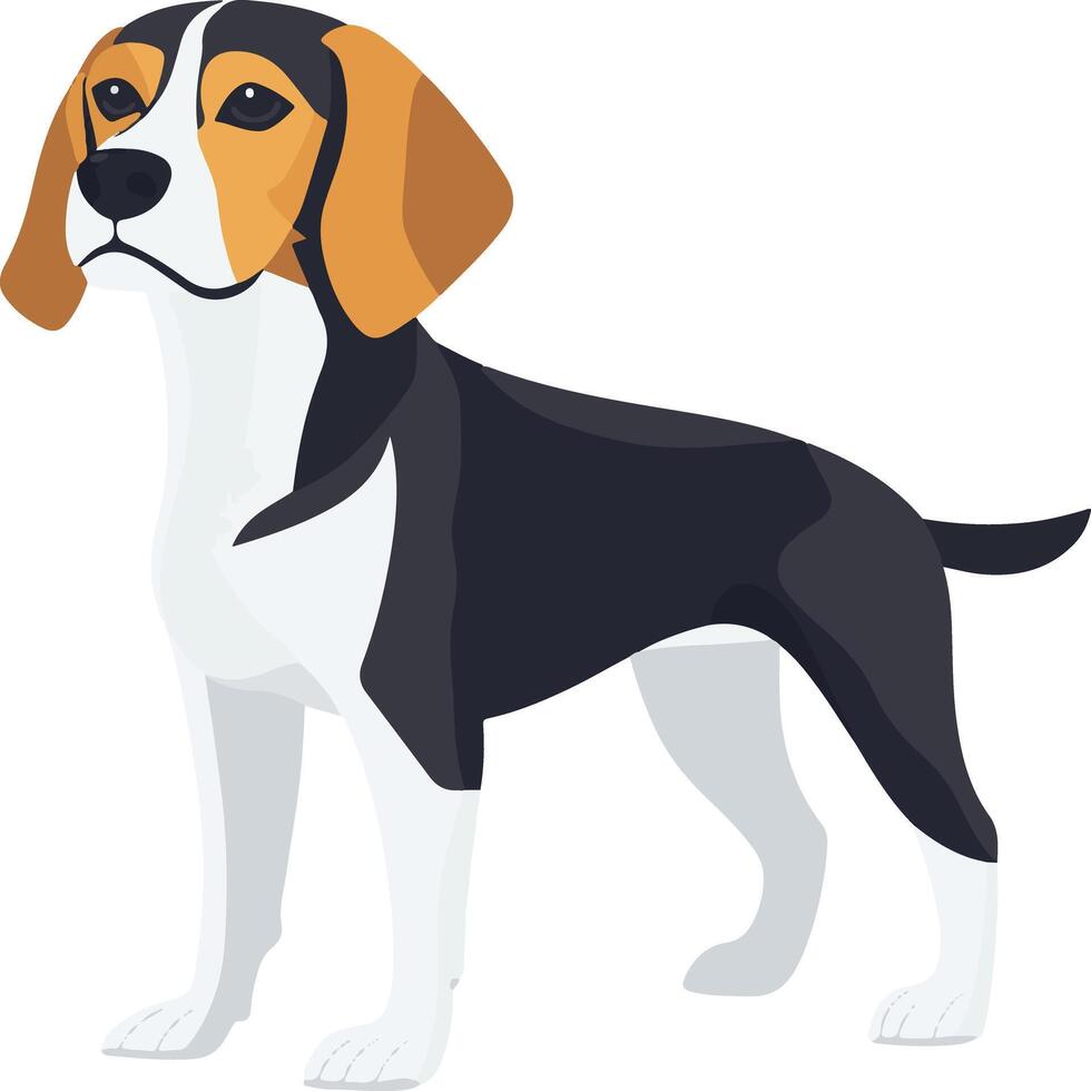 cute simple Beagle clipart vector