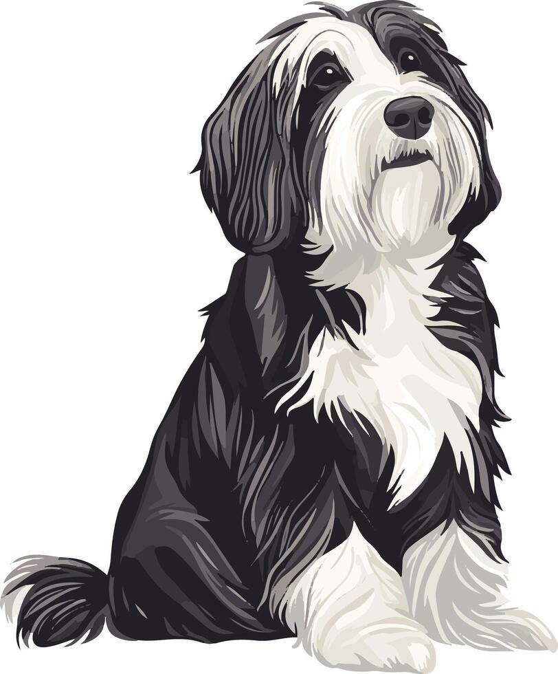 cute simple Bearded Collie clipart vector