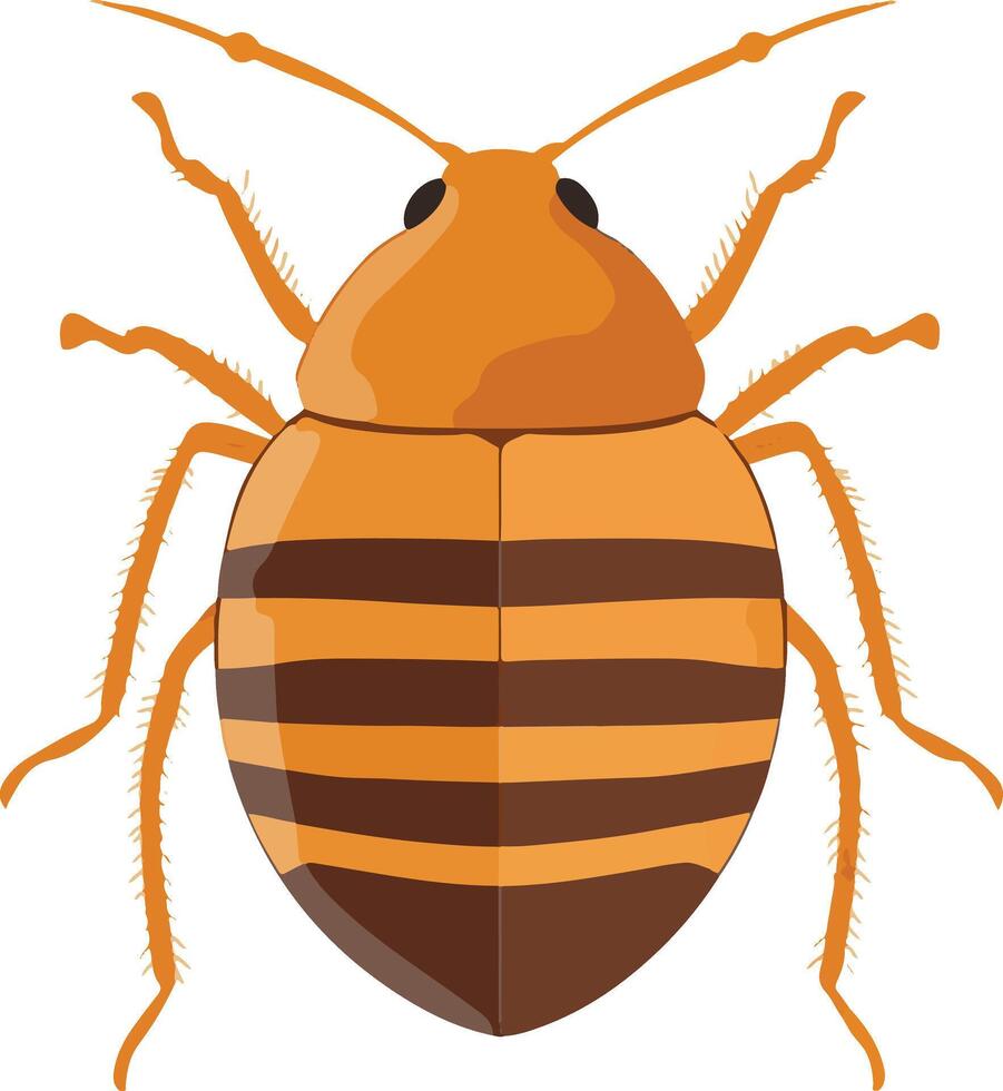 adorable cute simple bed bug clipart vector