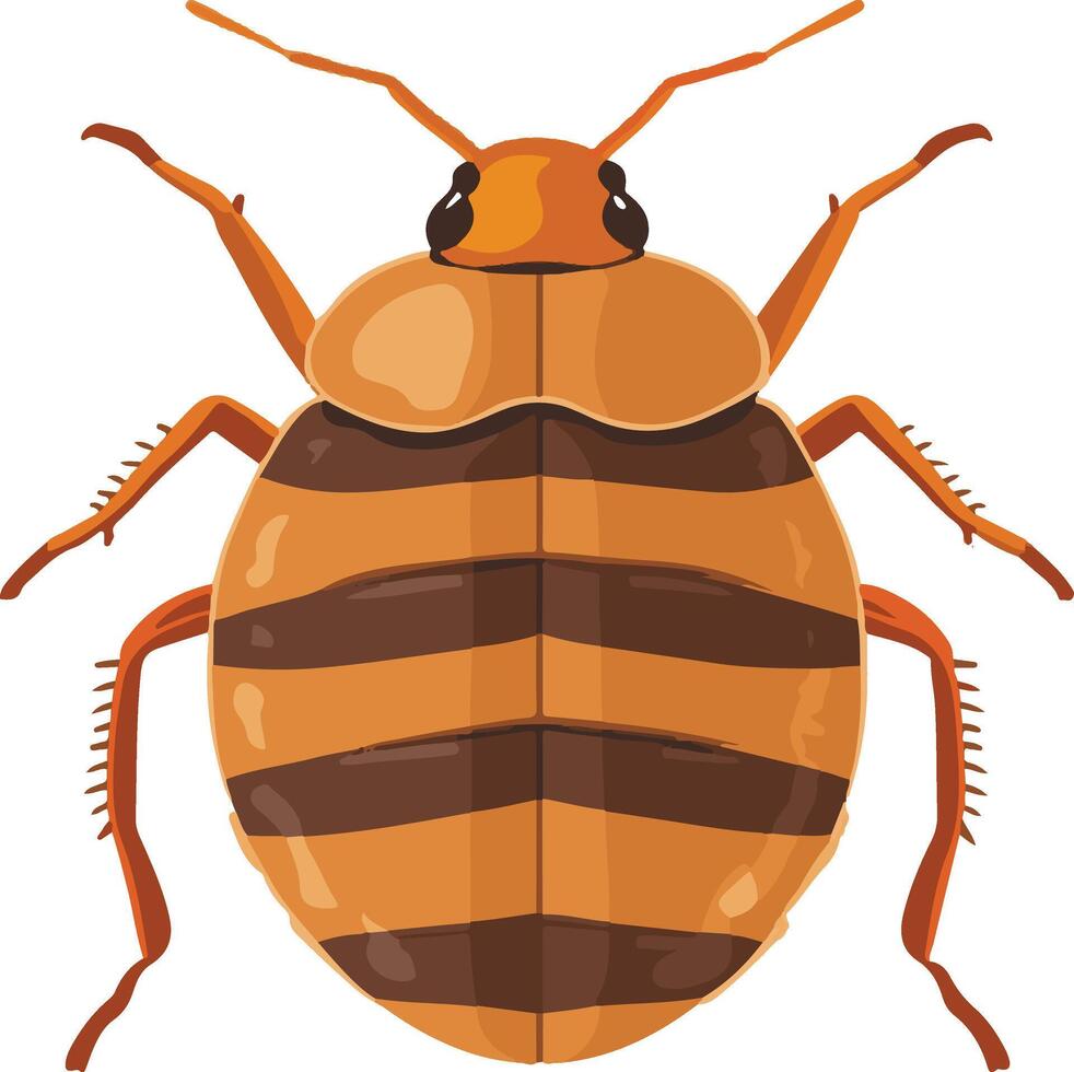cute simple bed bug clipart vector