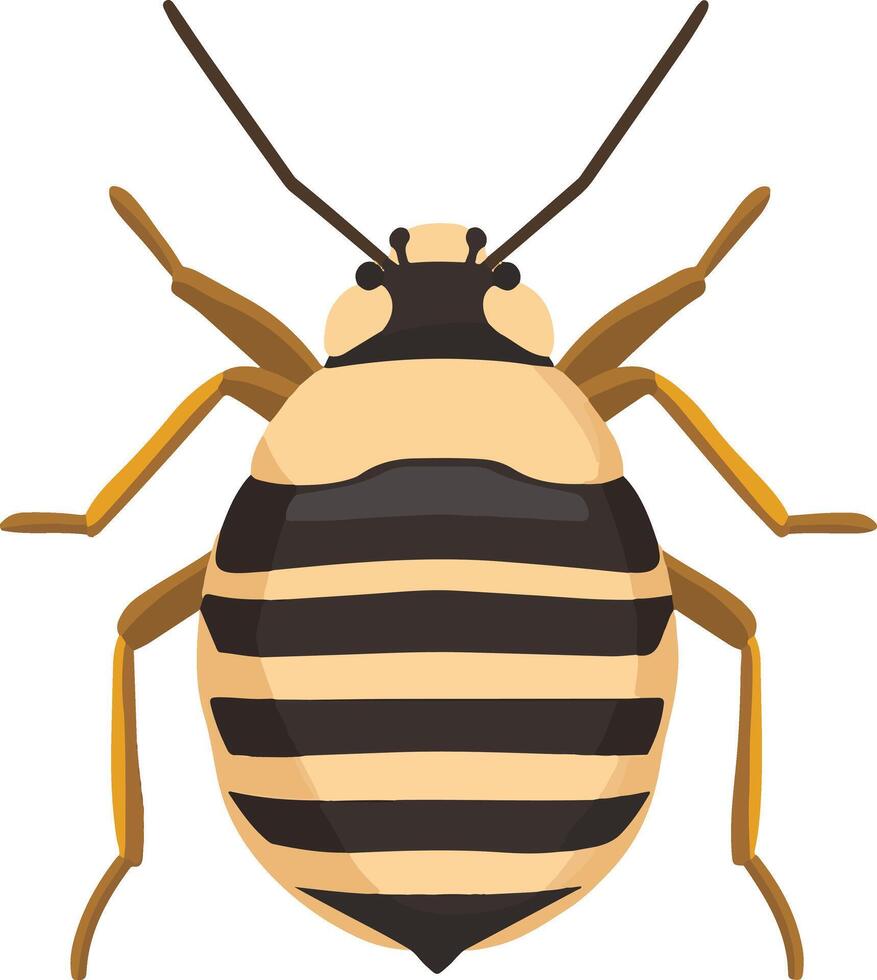 lovely cute simple bed bug clipart vector