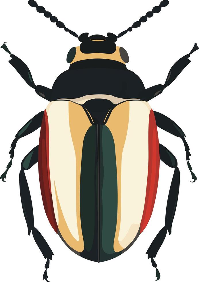 cute simple beetle clipart vector