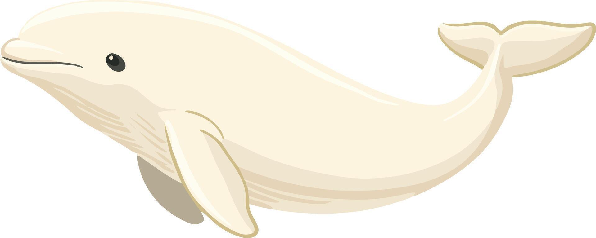 adorable cute simple beluga whale clipart vector