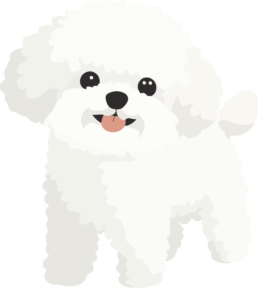lovely cute simple bichon frise clipart vector