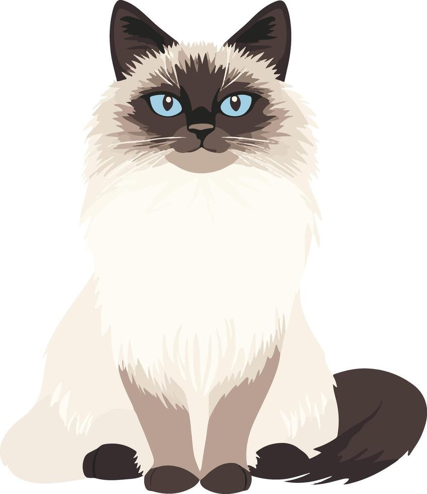 adorable cute simple Birman clipart vector