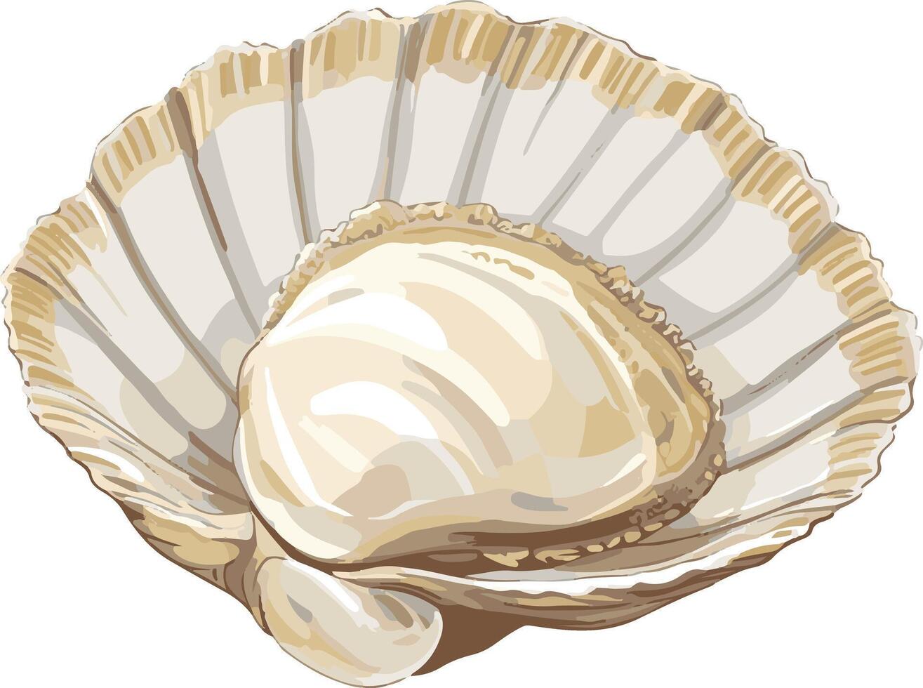 adorable cute simple bivalve clipart vector