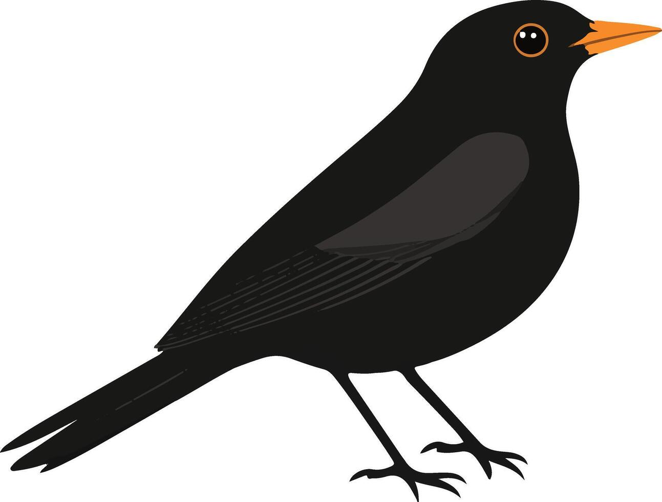adorable cute simple blackbird clipart vector