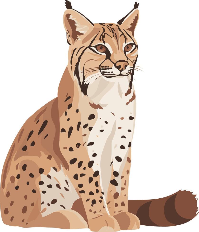 cute simple bobcat clipart vector