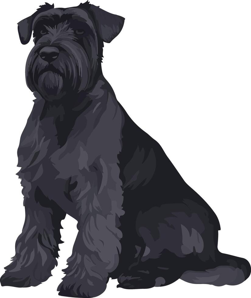 cute simple Bouvier des Flandres clipart vector
