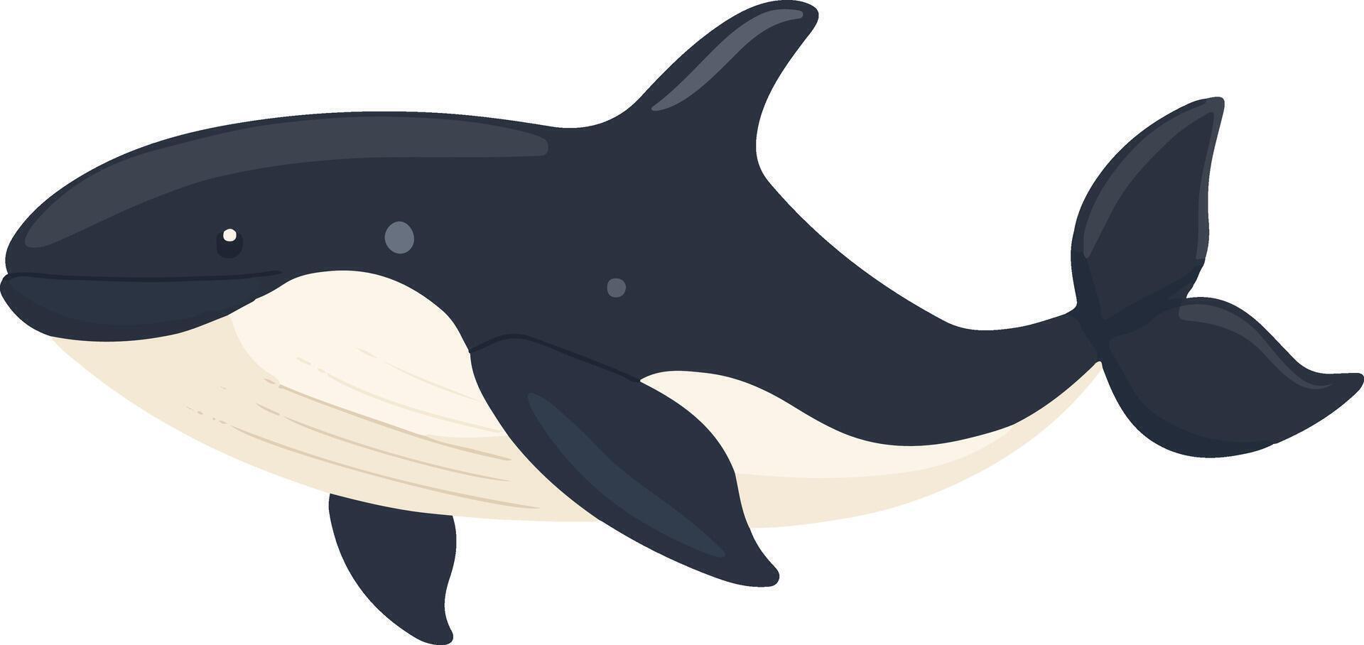 adorable cute simple bowhead whale clipart vector