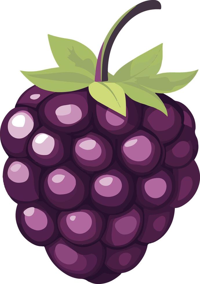 cute simple boysenberry clipart vector