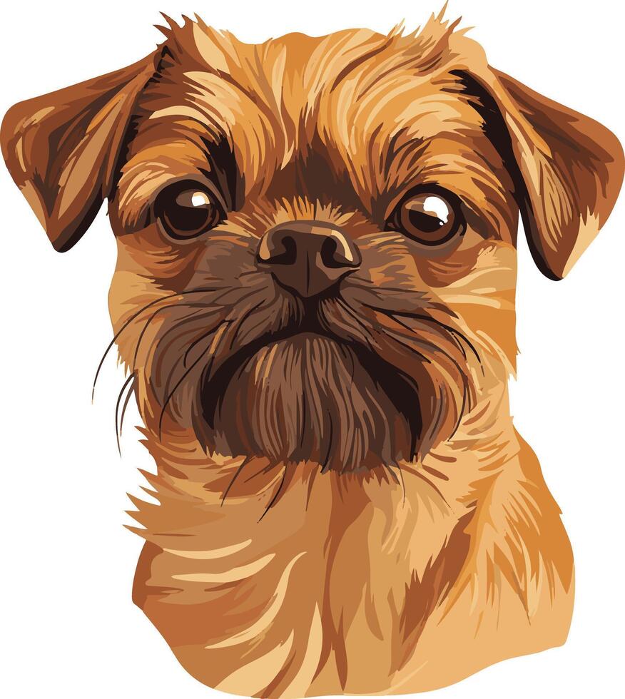 cute simple Brussels Griffon clipart vector