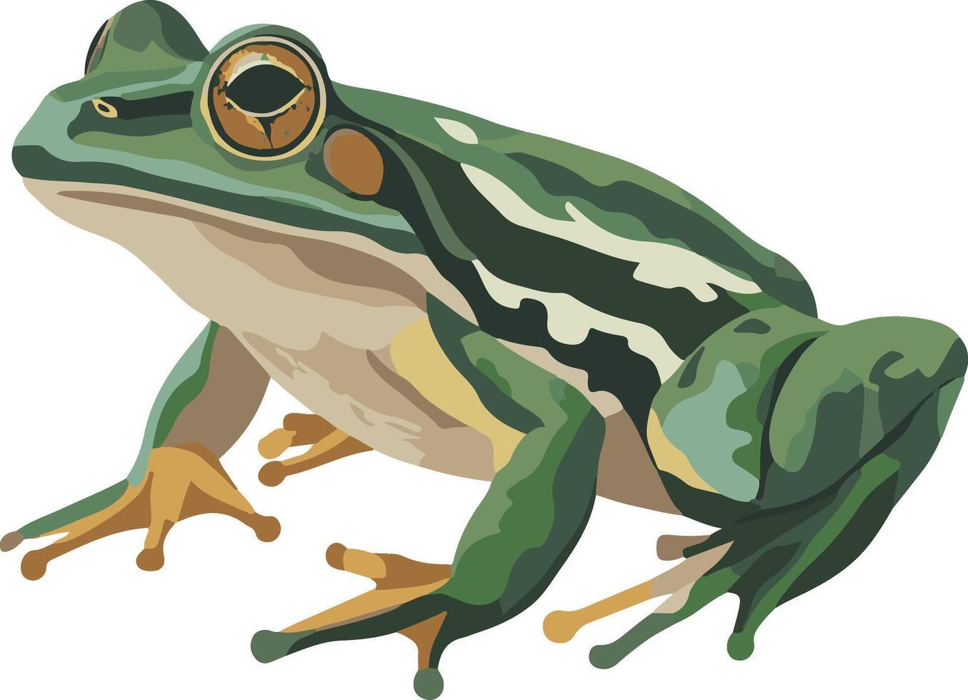 adorable cute simple bullfrog clipart vector