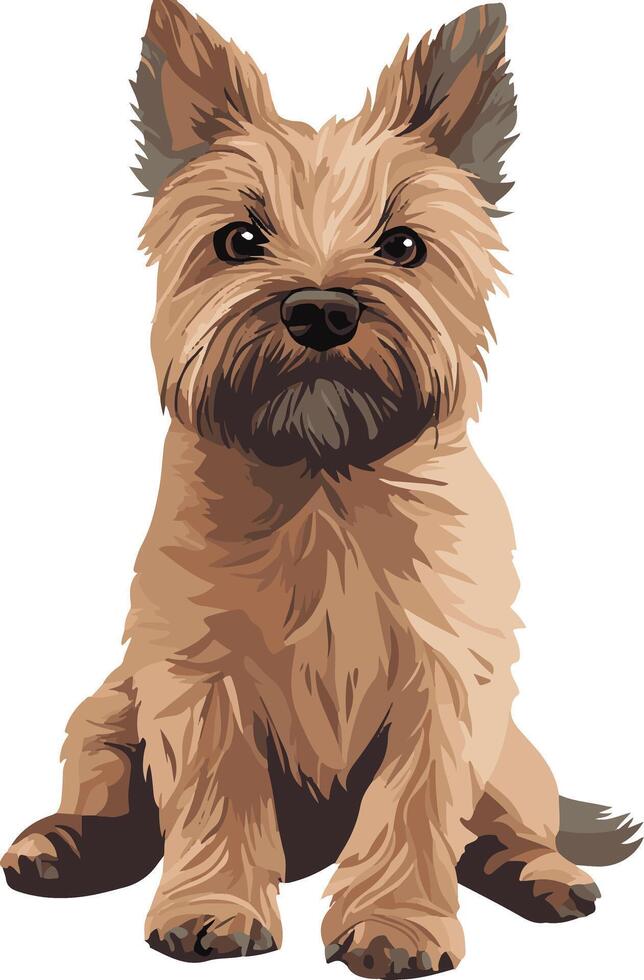 cute simple Cairn Terrier clipart vector