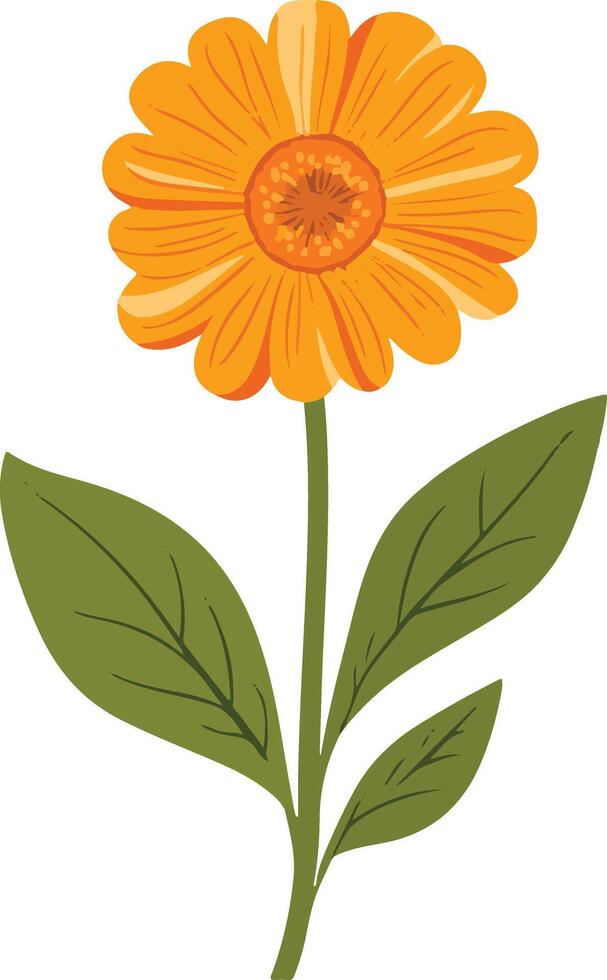 adorable cute simple calendula clipart vector
