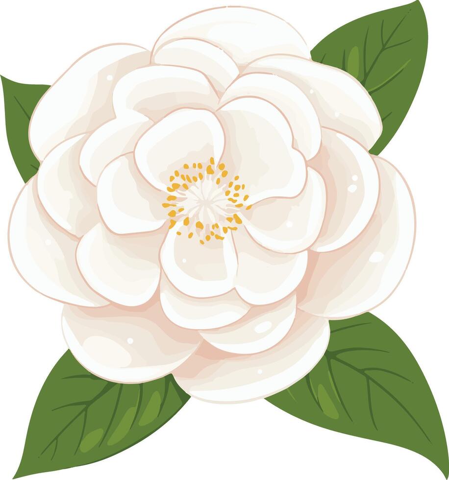 cute simple camellia clipart vector