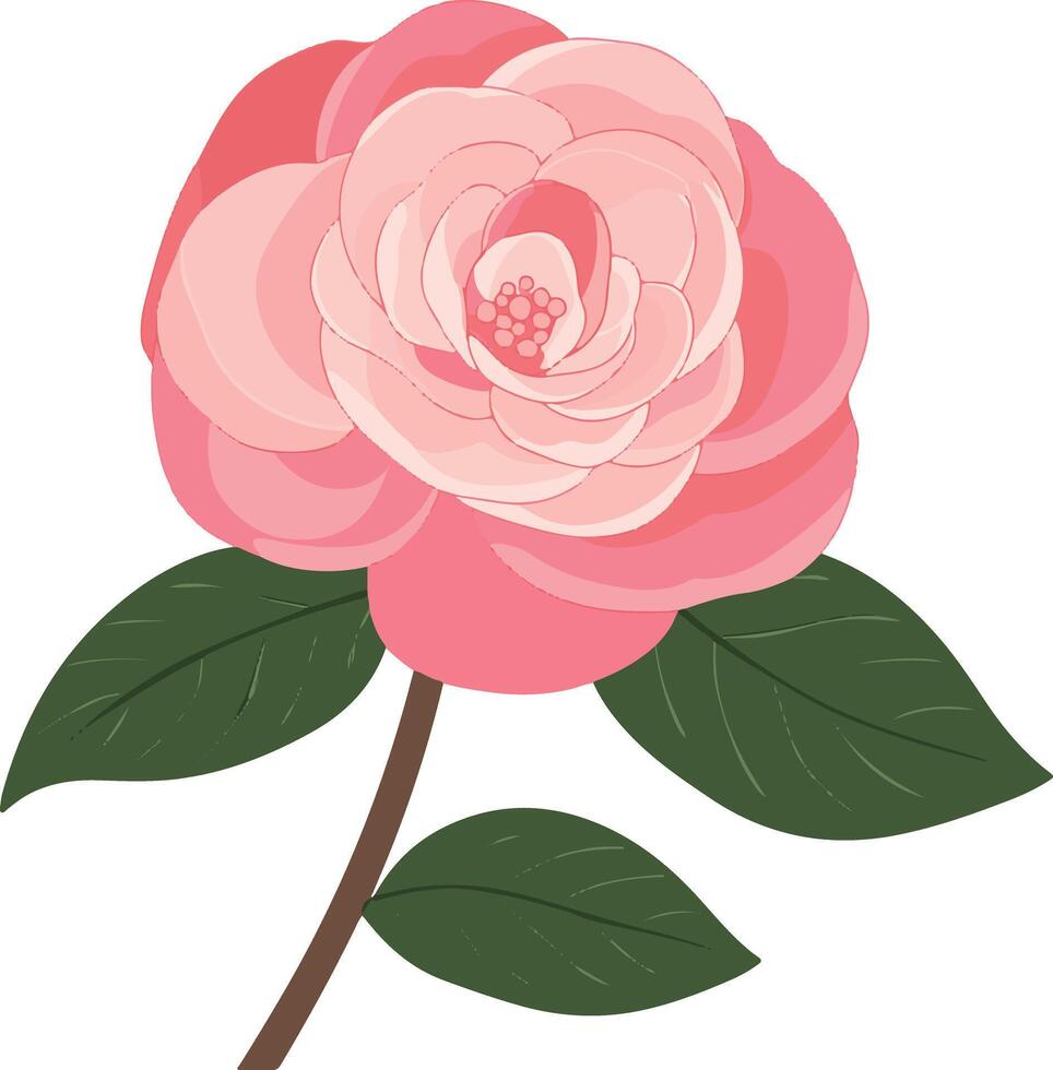 adorable cute simple camellia clipart vector