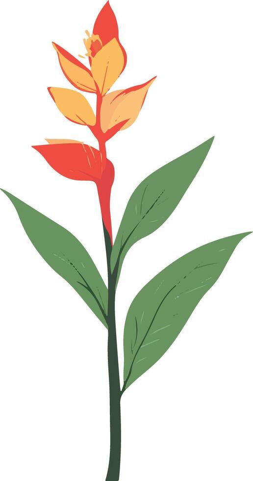 adorable cute simple canna clipart vector