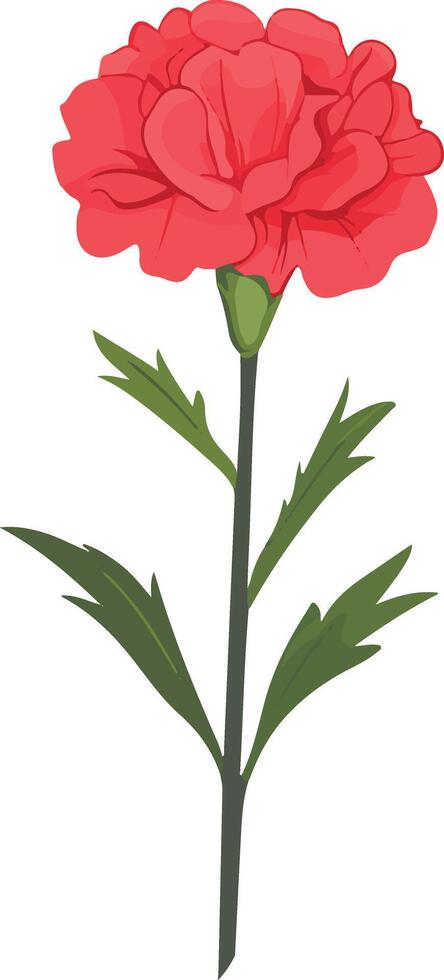 adorable cute simple carnation clipart vector
