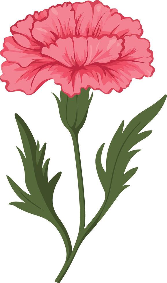 sweet cute simple carnation clipart vector