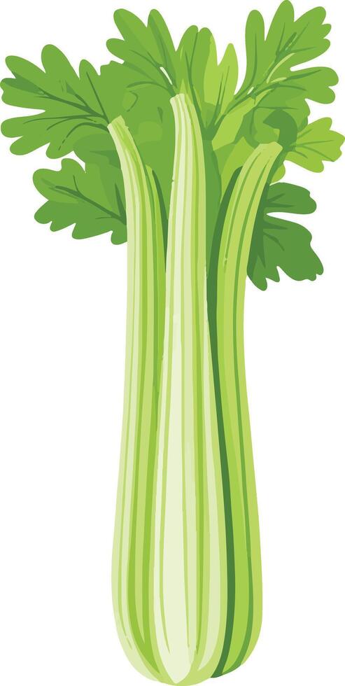 cute simple celery clipart vector