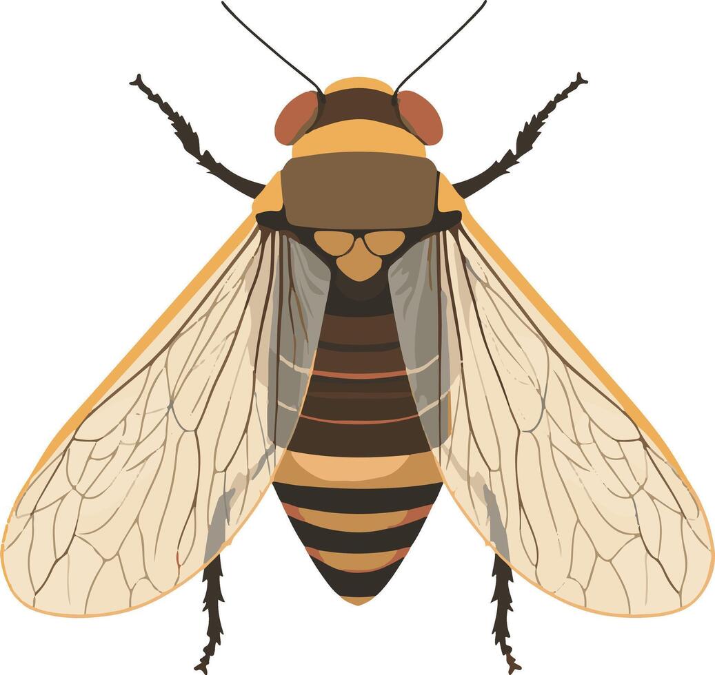 cute simple cicada clipart vector