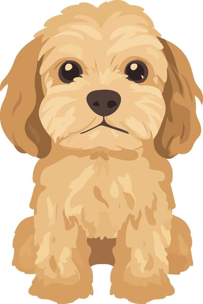 cute simple Cockapoo clipart vector
